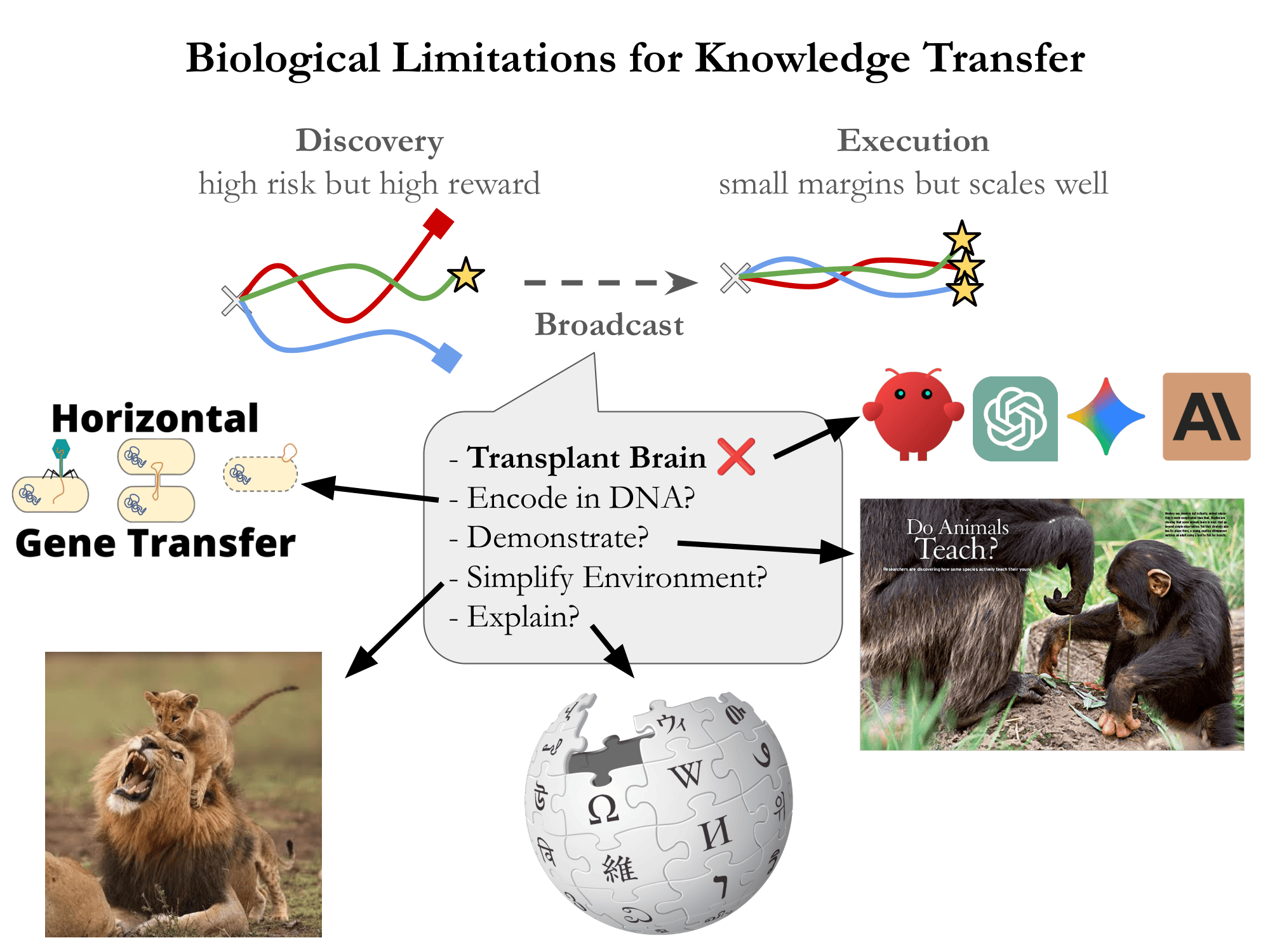 The Biological constraints of Knowledge Transfer