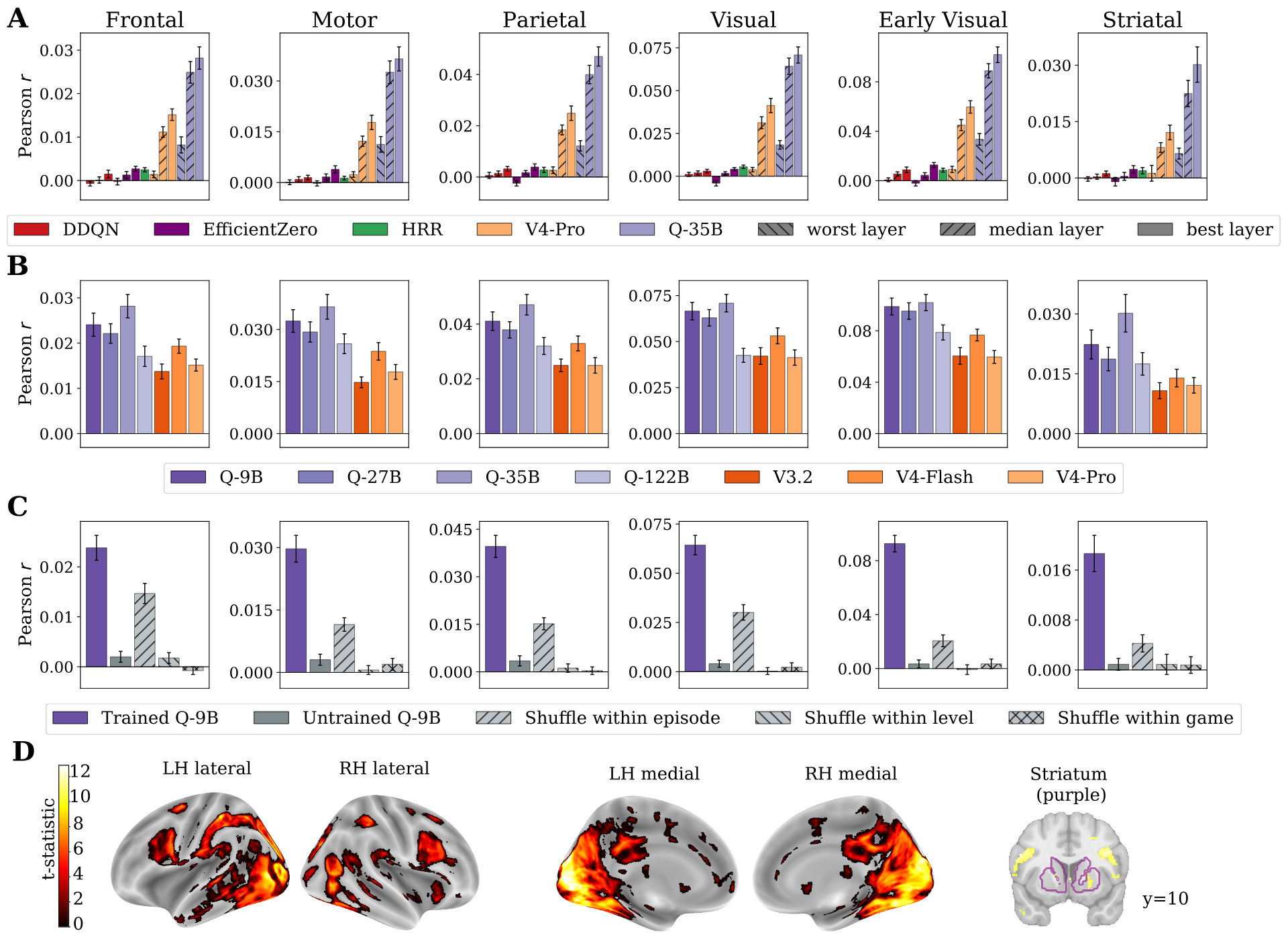 Brain encoding accuracy by region group